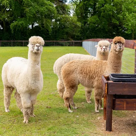 Bective Stud 아파트 *