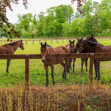 דירה Bective Stud *