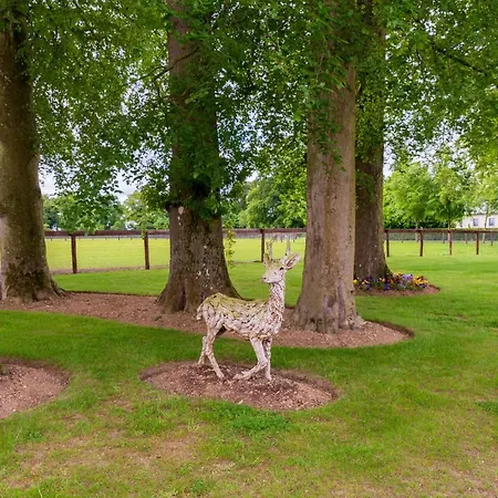 Bective Stud Apartman Navan