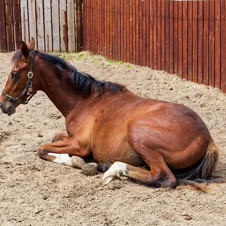 Appartamento Bective Stud Navan