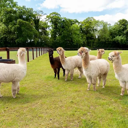 Bective Stud Apartman Navan