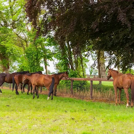 Bective Stud