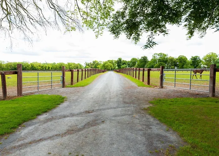 Lejlighed Bective Stud *